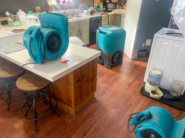 Best Professional water damage repair  in Bowmansville, PA