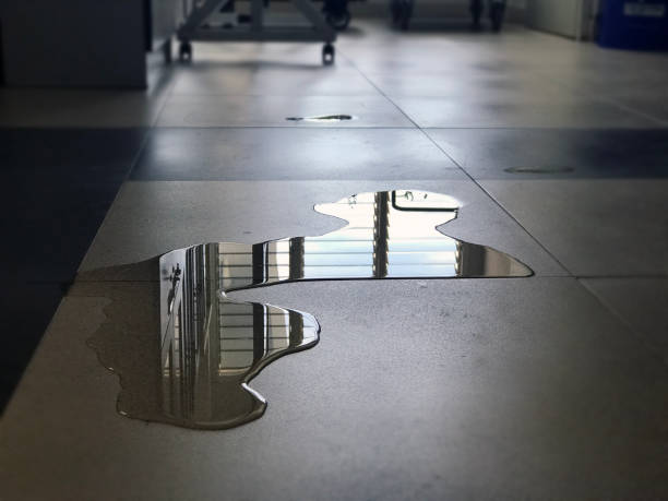 Best Water damage contractors near me  in Bowmansville, PA
