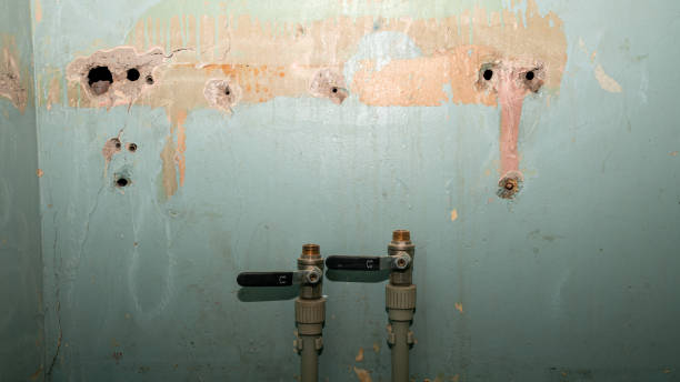 Best Water damage restoration near me  in Bowmansville, PA
