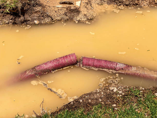 Best Local water damage restoration  in Bowmansville, PA