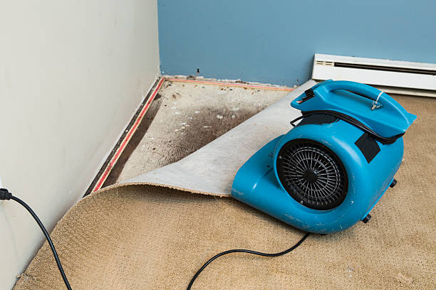 Best Water damage restoration process  in Bowmansville, PA